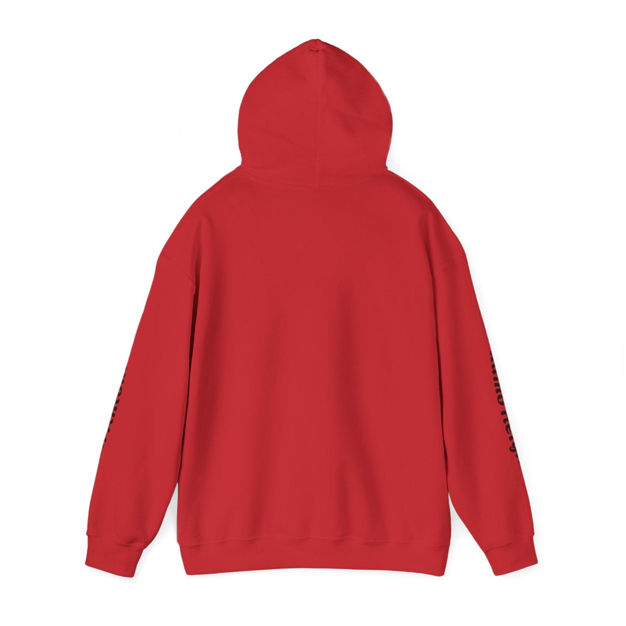 Communities Graphic Hoodie — San Antonio & Alamo Heights Cityscape Hooded Sweatshirt