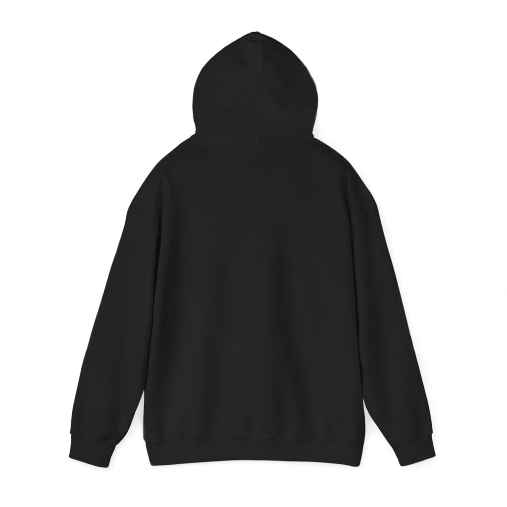 Communities Graphic Hoodie — San Antonio & Alamo Heights Cityscape Hooded Sweatshirt