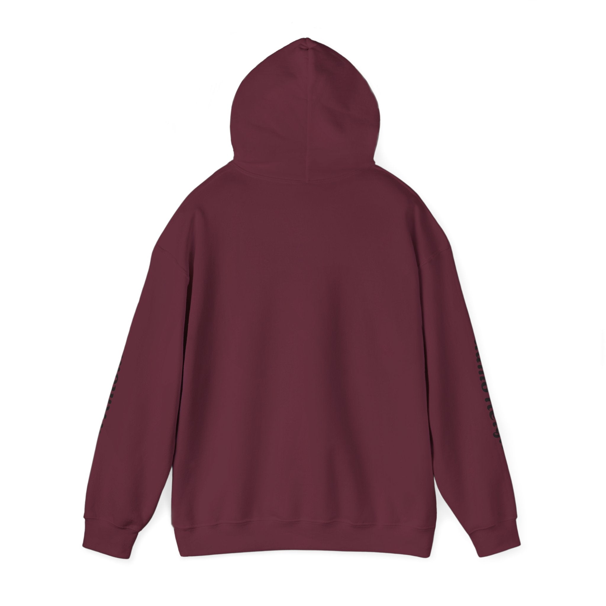 Communities Graphic Hoodie — San Antonio & Alamo Heights Cityscape Hooded Sweatshirt