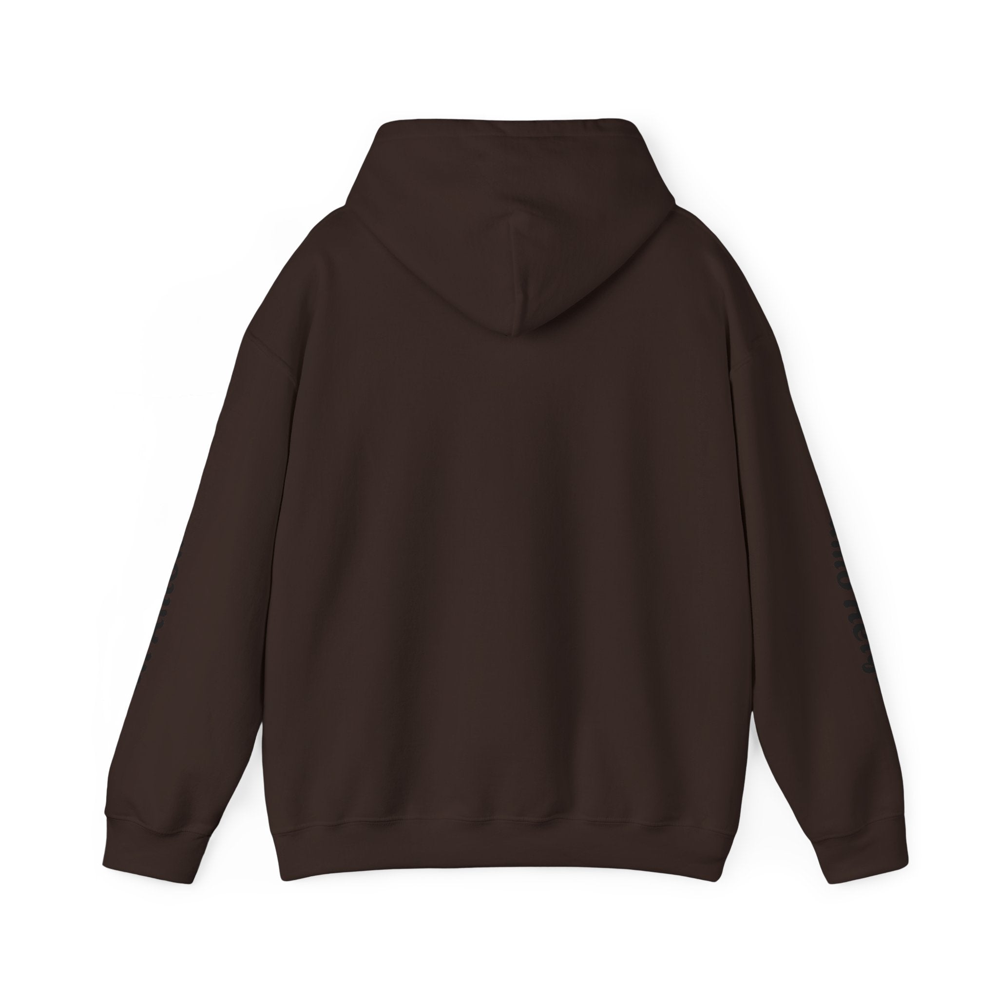 Communities Graphic Hoodie — San Antonio & Alamo Heights Cityscape Hooded Sweatshirt