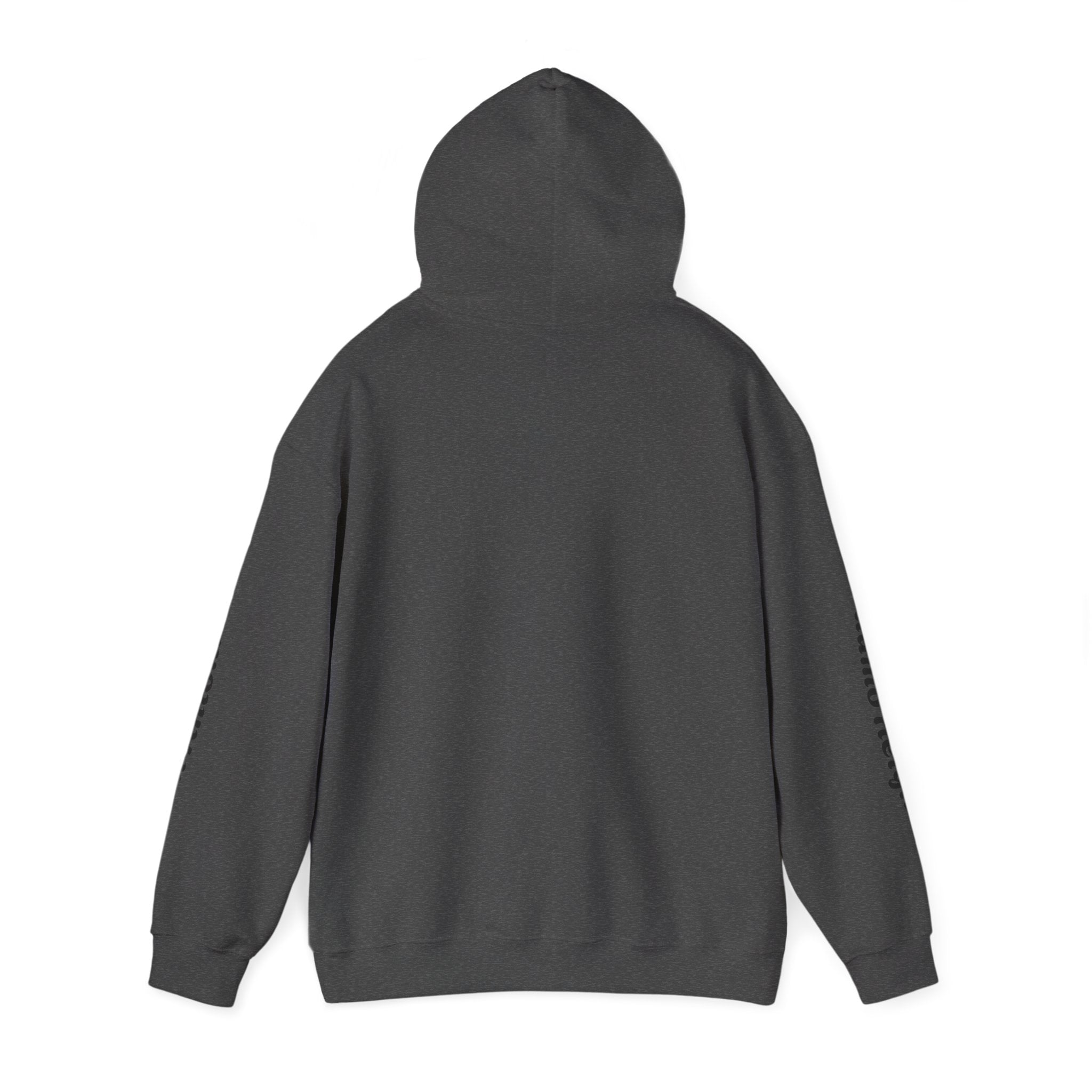 Communities Graphic Hoodie — San Antonio & Alamo Heights Cityscape Hooded Sweatshirt
